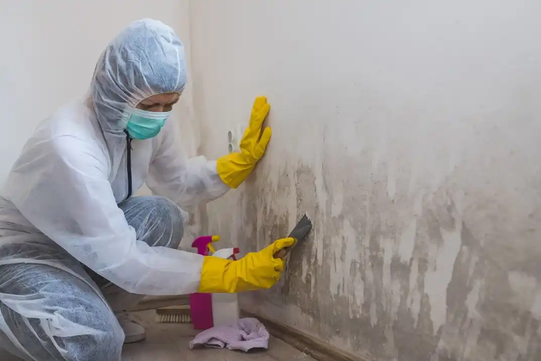 water damage restoration service Medina